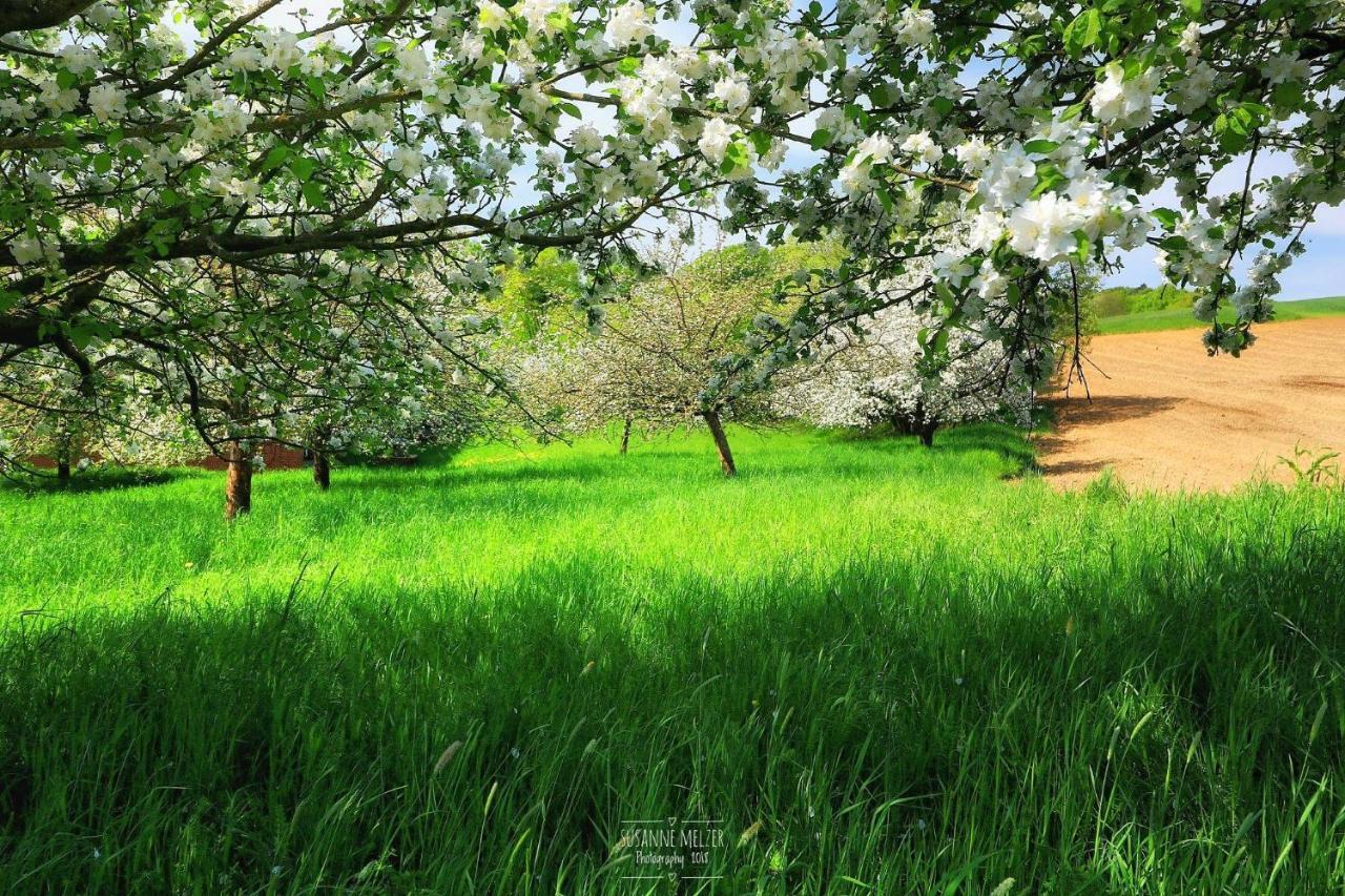 Ferienwohnung Mörlenbach المظهر الخارجي الصورة